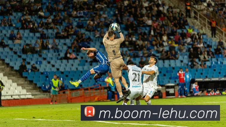 乐虎体育发展历程